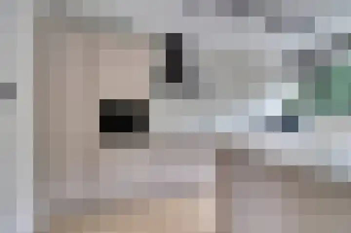 Zwaluwlaan 34 Bergschenhoek thumbnail 13