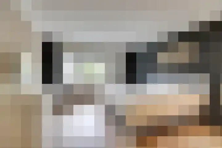Zwaluwlaan 34 Bergschenhoek thumbnail 16