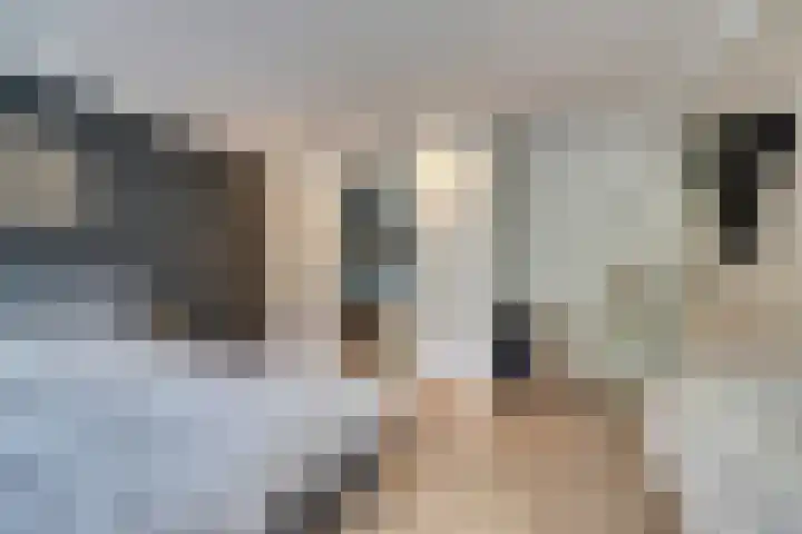 Zwaluwlaan 34 Bergschenhoek thumbnail 17