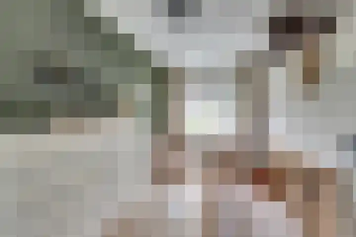 Zwaluwlaan 34 Bergschenhoek thumbnail 18