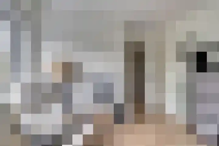Zwaluwlaan 34 Bergschenhoek thumbnail 22