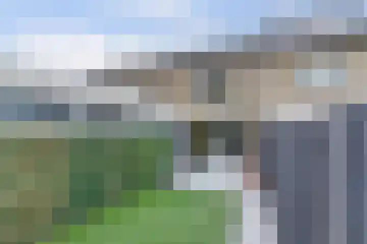 Zwaluwlaan 34 Bergschenhoek thumbnail 27