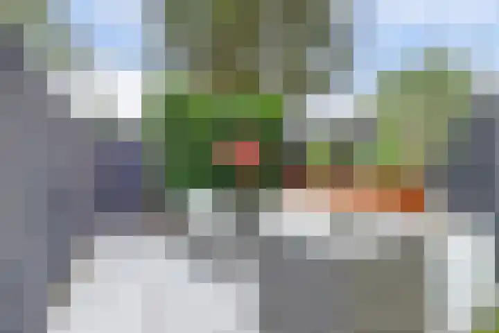 Zwaluwlaan 34 Bergschenhoek thumbnail 30