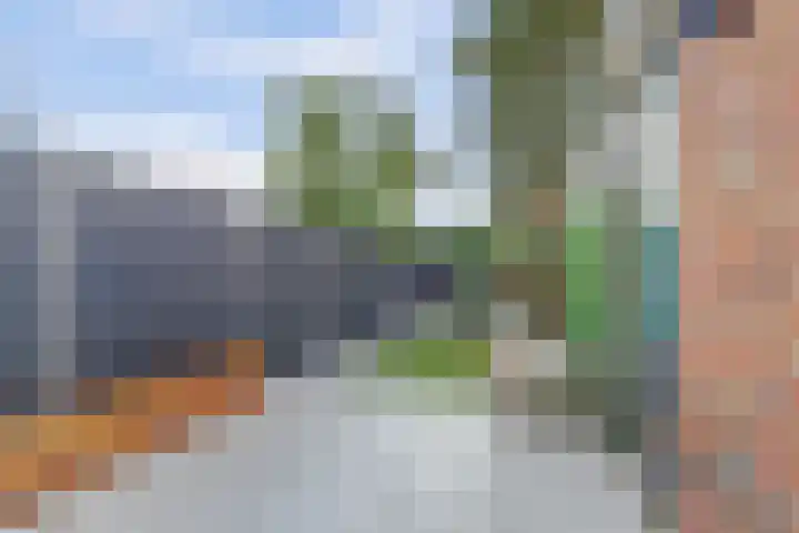 Zwaluwlaan 34 Bergschenhoek thumbnail 33