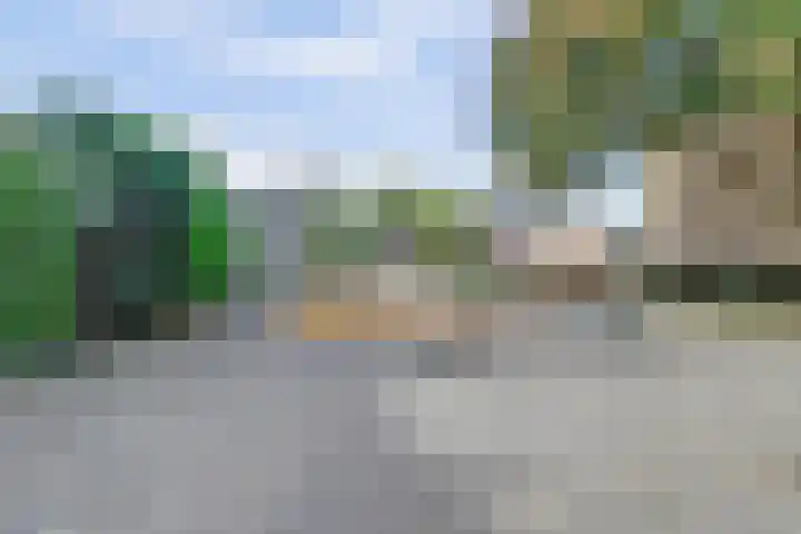 Zwaluwlaan 34 Bergschenhoek thumbnail 38