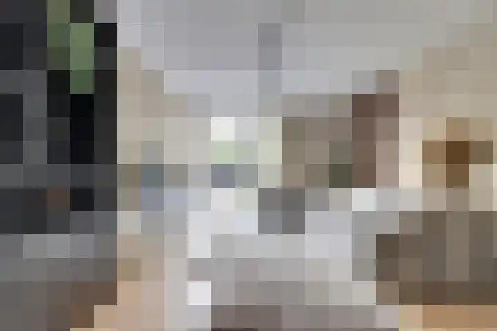 Zwaluwlaan 34 Bergschenhoek thumbnail 4