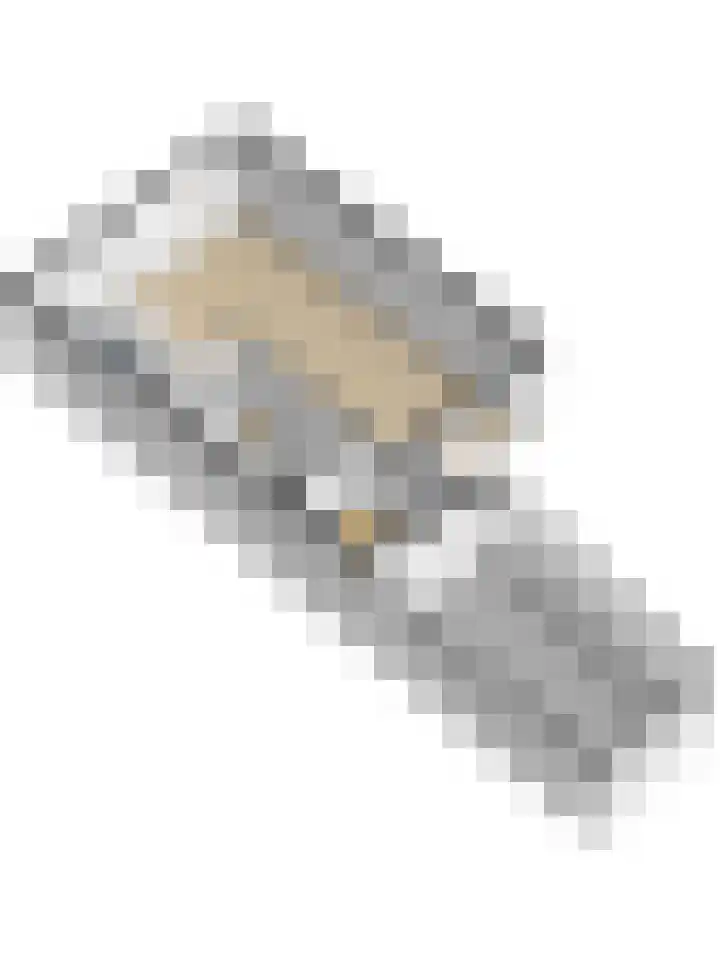 Zwaluwlaan 34 Bergschenhoek thumbnail 40