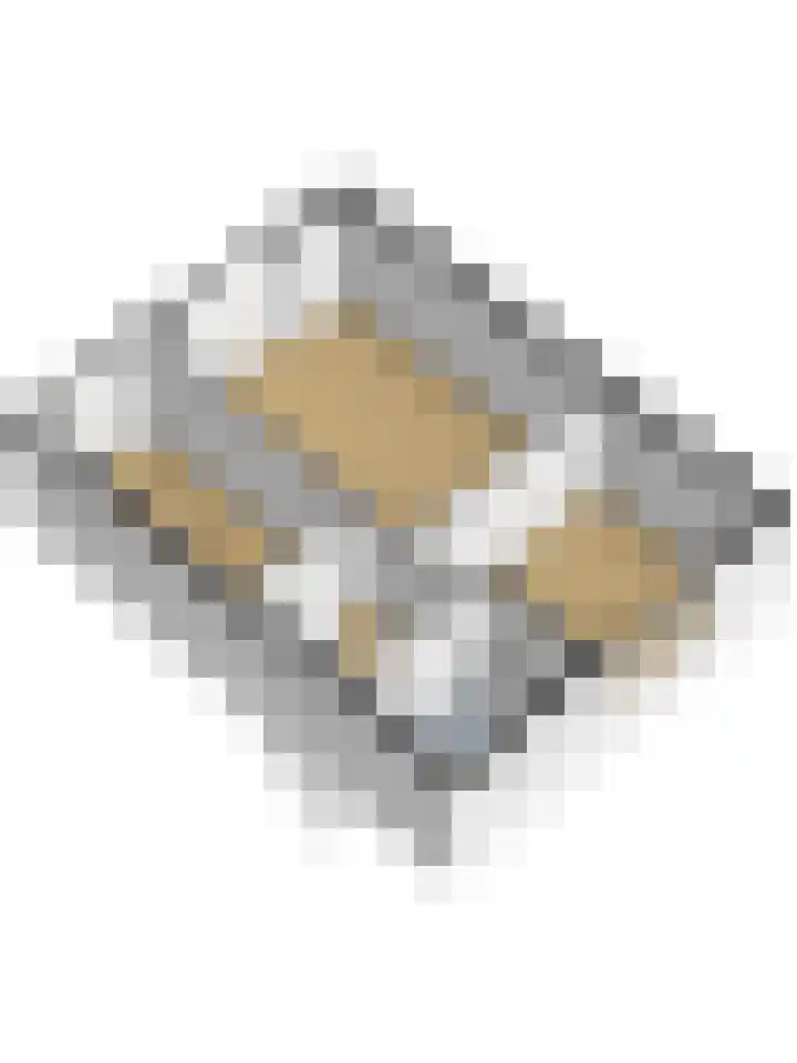 Zwaluwlaan 34 Bergschenhoek thumbnail 42