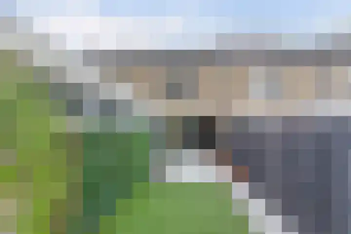Zwaluwlaan 34 Bergschenhoek thumbnail 47