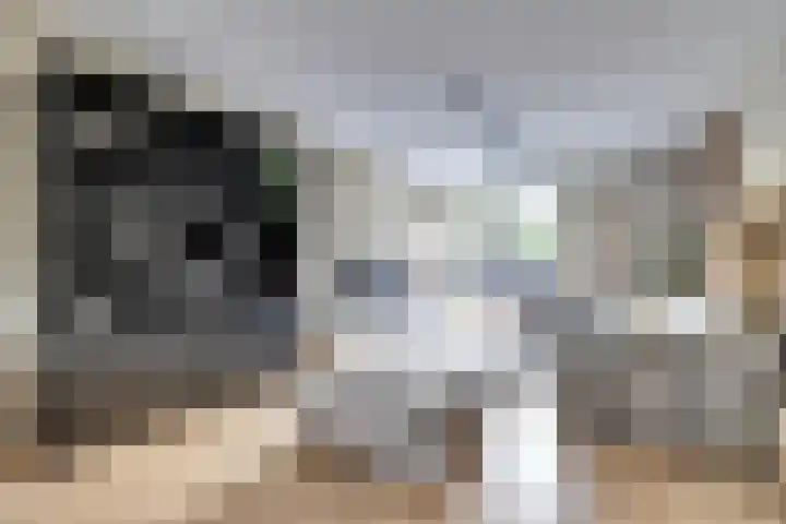 Zwaluwlaan 34 Bergschenhoek thumbnail 5