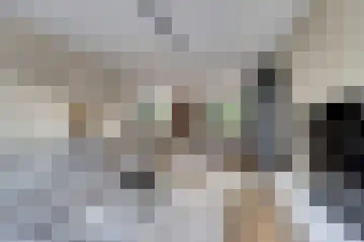 Zwaluwlaan 34 Bergschenhoek thumbnail 6