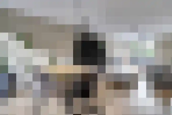 Zwaluwlaan 34 Bergschenhoek thumbnail 7