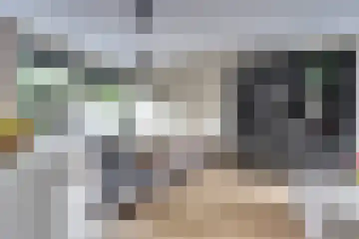 Zwaluwlaan 34 Bergschenhoek thumbnail 8