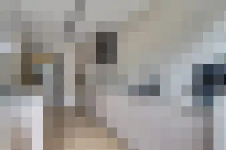 Zwaluwlaan 34 Bergschenhoek thumbnail 9