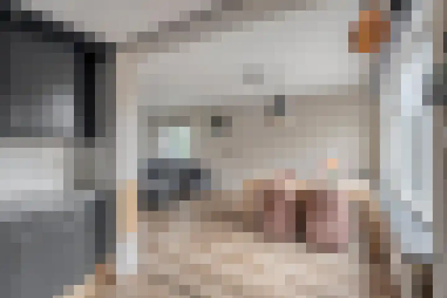 Zwaluwlaan 4 Beilen thumbnail 11