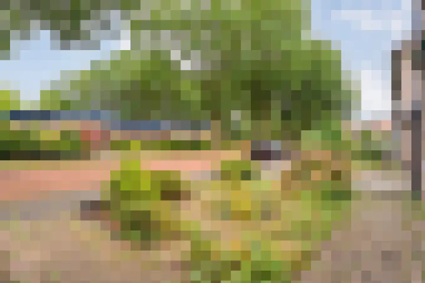 Zwaluwlaan 4 Beilen thumbnail 43