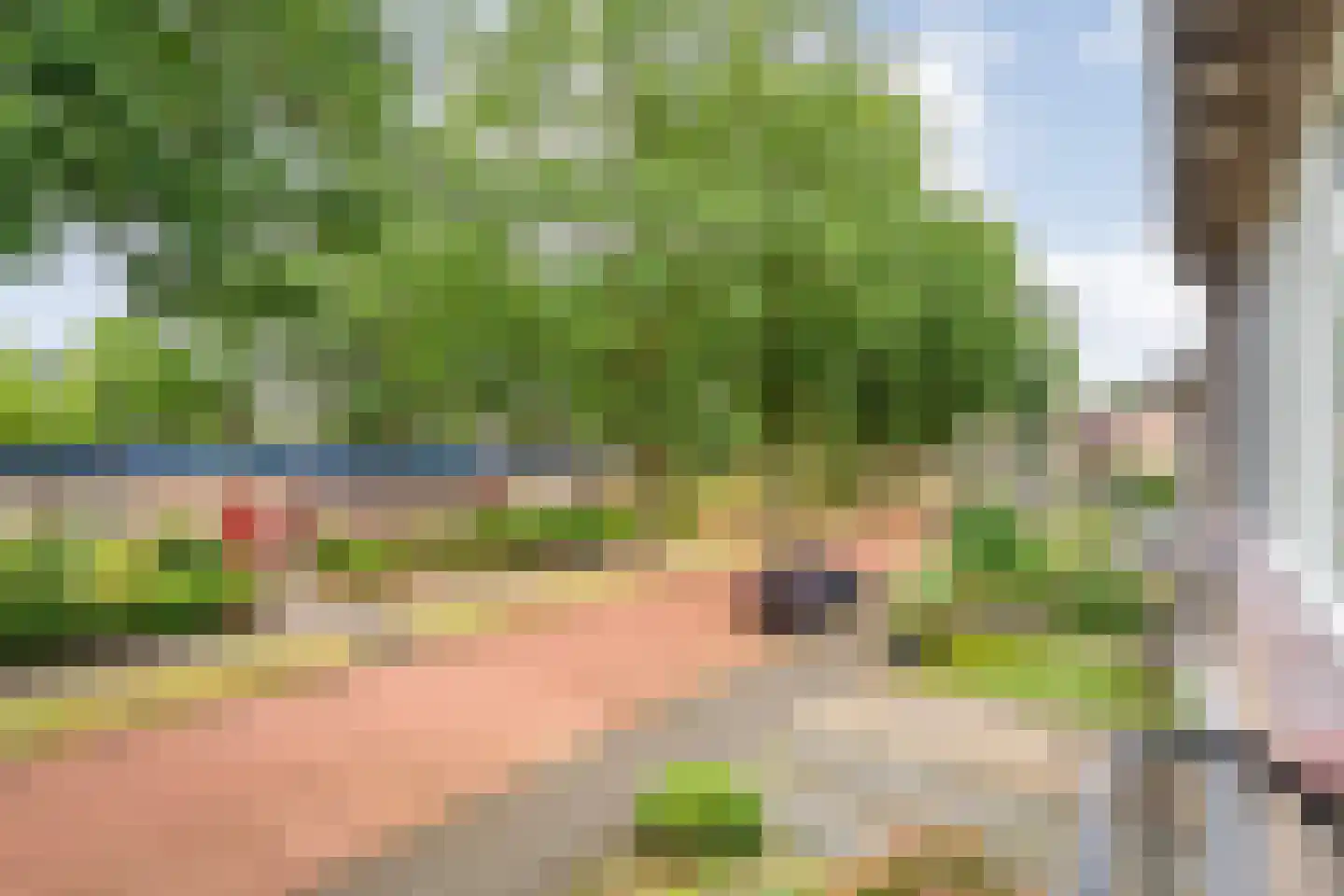 Zwaluwlaan 4 Beilen thumbnail 44