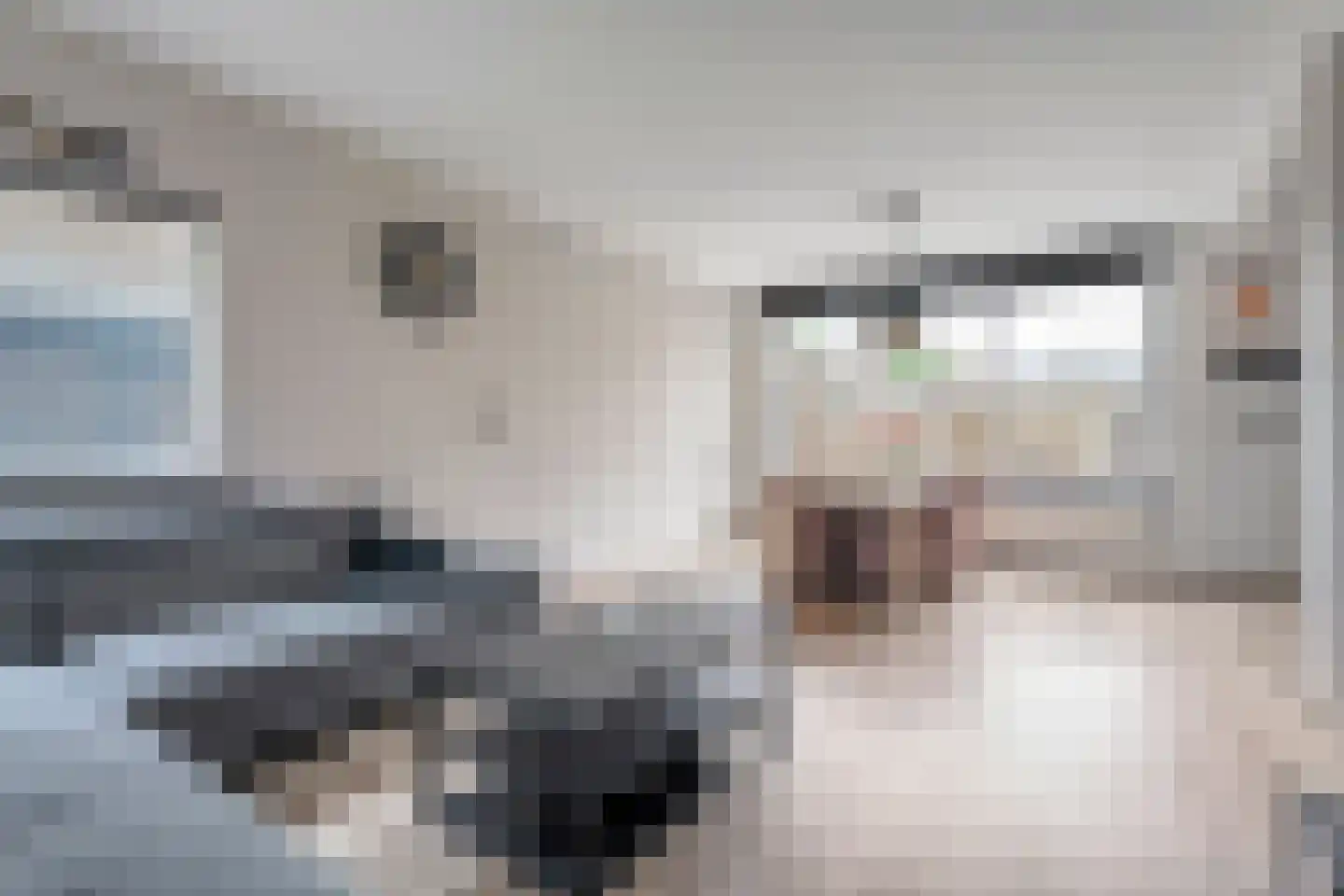 Zwaluwlaan 4 Beilen thumbnail 7