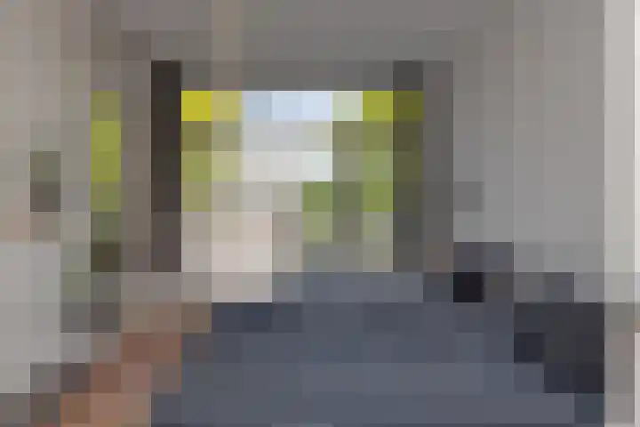 Zwaluwlaan 4 Bussum thumbnail 11