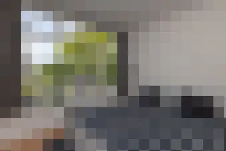 Zwaluwlaan 4 Bussum thumbnail 12