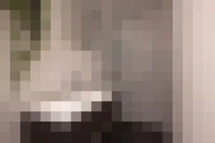 Zwaluwlaan 4 Bussum thumbnail 14
