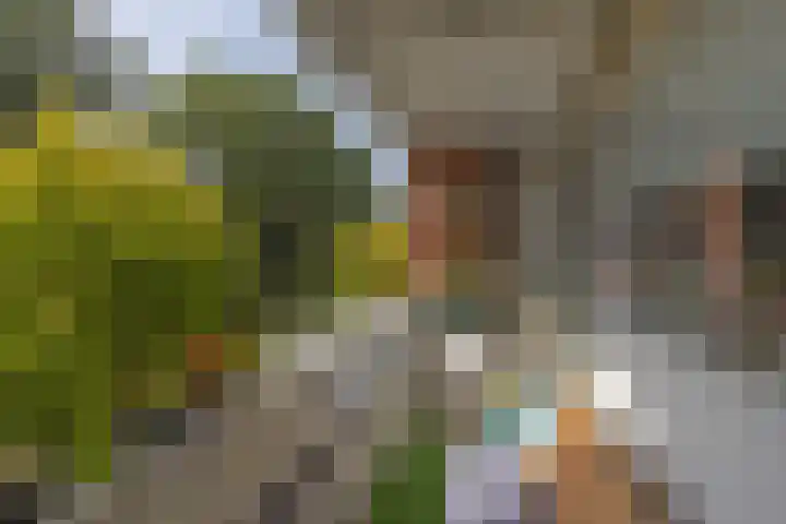Zwaluwlaan 4 Bussum thumbnail 15