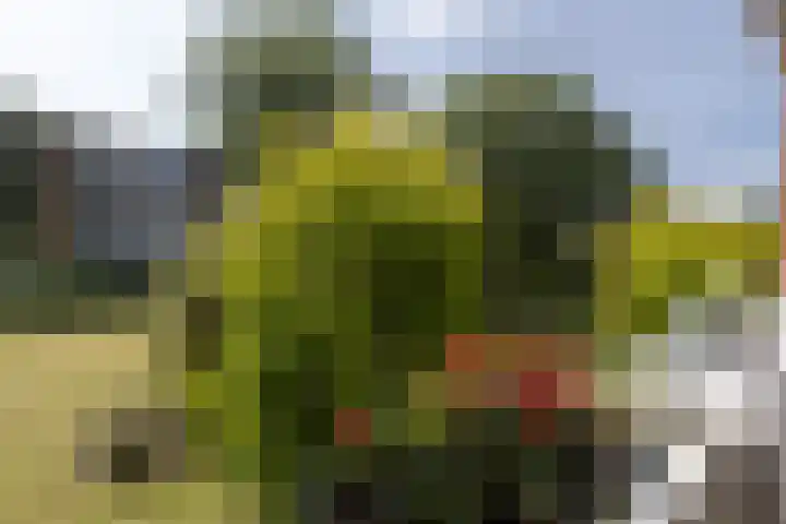 Zwaluwlaan 4 Bussum thumbnail 16