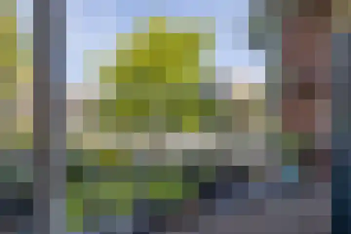 Zwaluwlaan 4 Bussum thumbnail 17