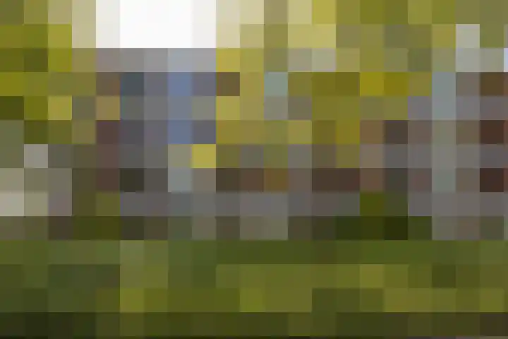 Zwaluwlaan 4 Bussum thumbnail 18