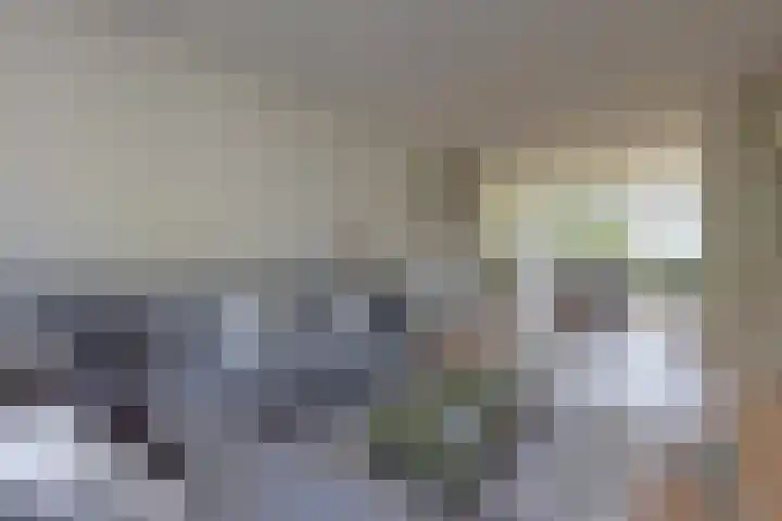 Zwaluwlaan 4 Bussum thumbnail 4