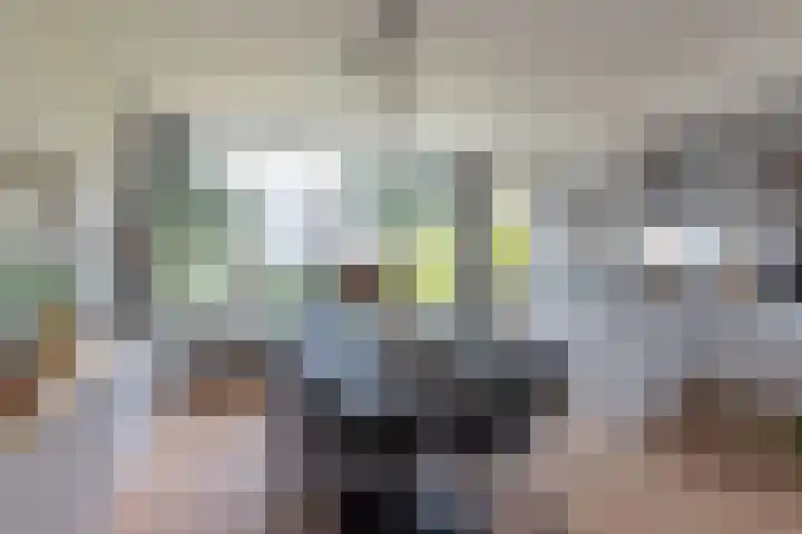 Zwaluwlaan 4 Bussum thumbnail 6