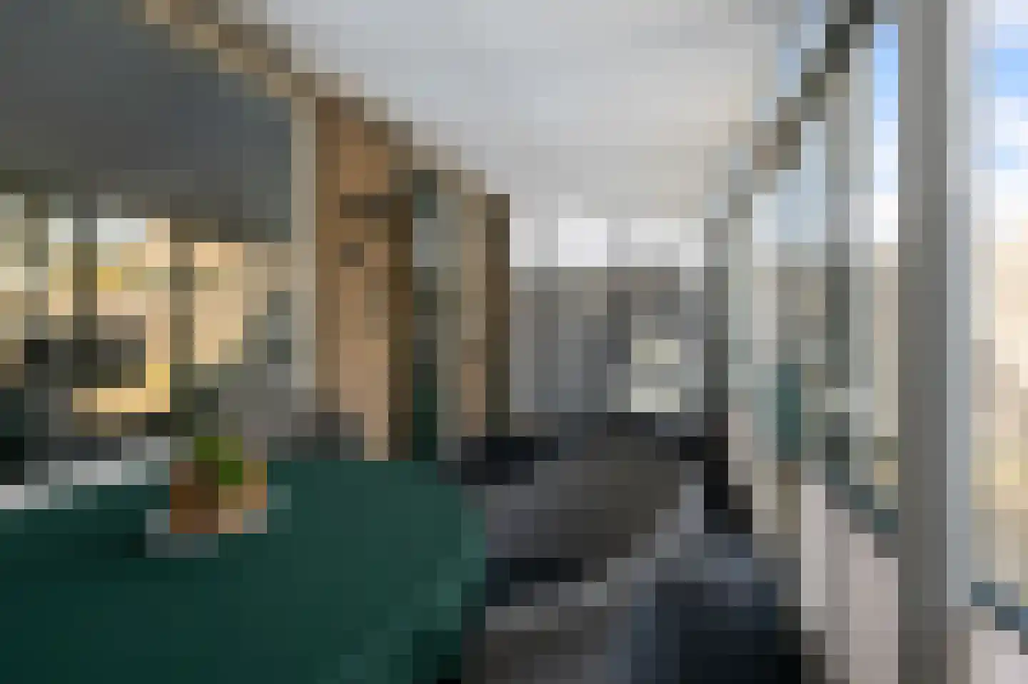 Zwaluwlaan 47 Nieuwveen thumbnail 28