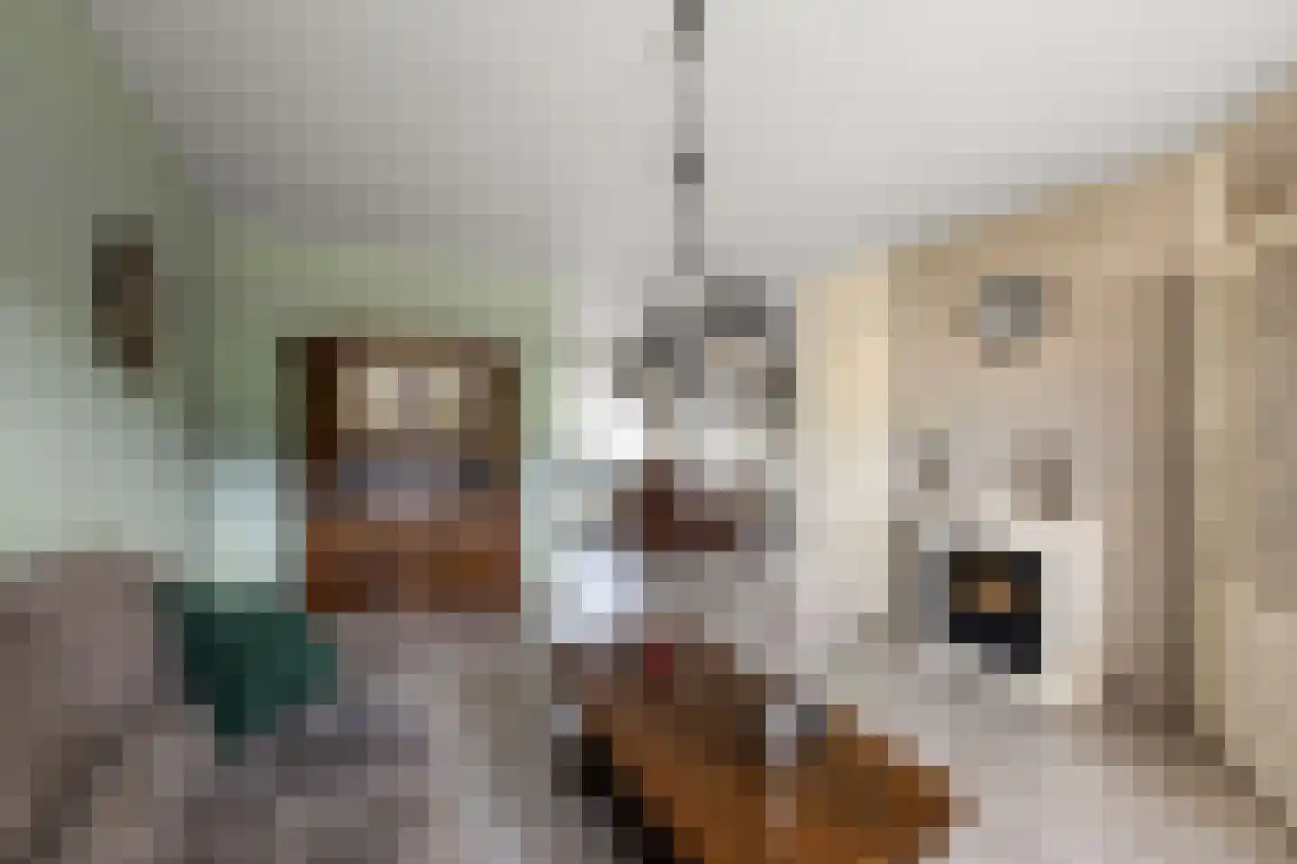 Zwaluwlaan 47 Nieuwveen thumbnail 6