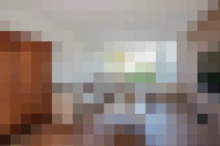 Zwaluwlaan 5 Leidschendam thumbnail 10