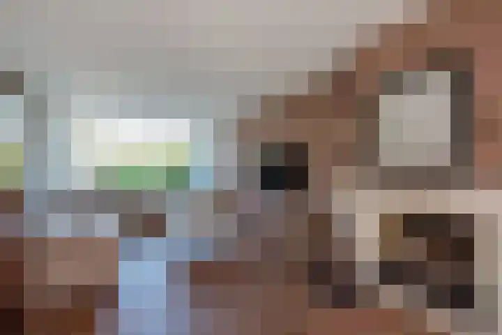 Zwaluwlaan 5 Leidschendam thumbnail 11