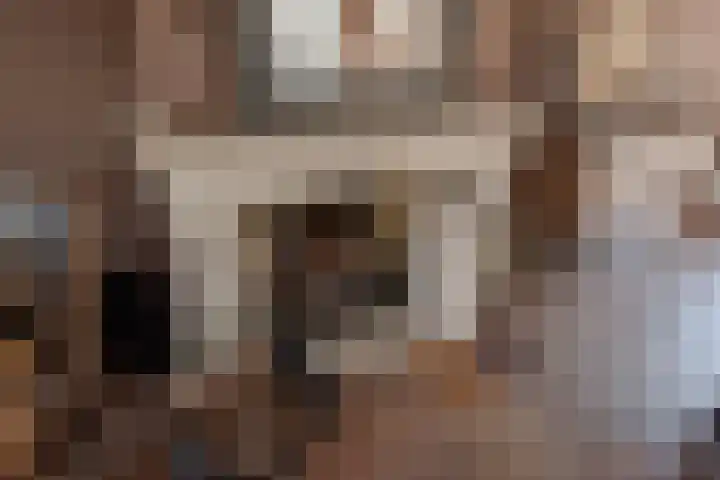 Zwaluwlaan 5 Leidschendam thumbnail 12
