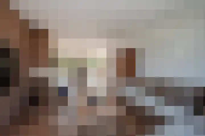 Zwaluwlaan 5 Leidschendam thumbnail 13