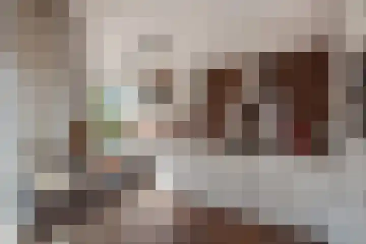 Zwaluwlaan 5 Leidschendam thumbnail 18