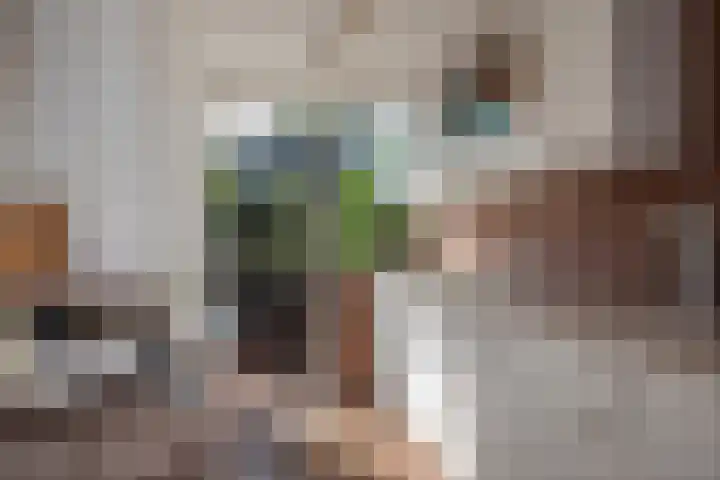 Zwaluwlaan 5 Leidschendam thumbnail 21