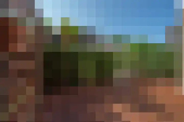 Zwaluwlaan 5 Leidschendam thumbnail 23