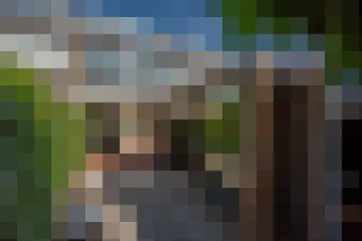 Zwaluwlaan 5 Leidschendam thumbnail 25
