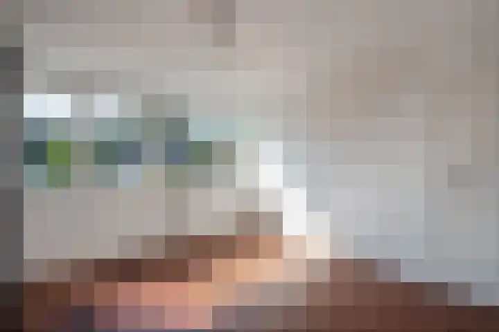 Zwaluwlaan 5 Leidschendam thumbnail 35