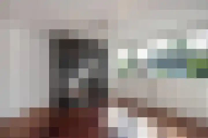 Zwaluwlaan 5 Leidschendam thumbnail 36