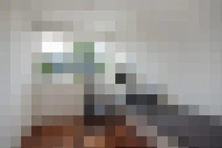 Zwaluwlaan 5 Leidschendam thumbnail 37