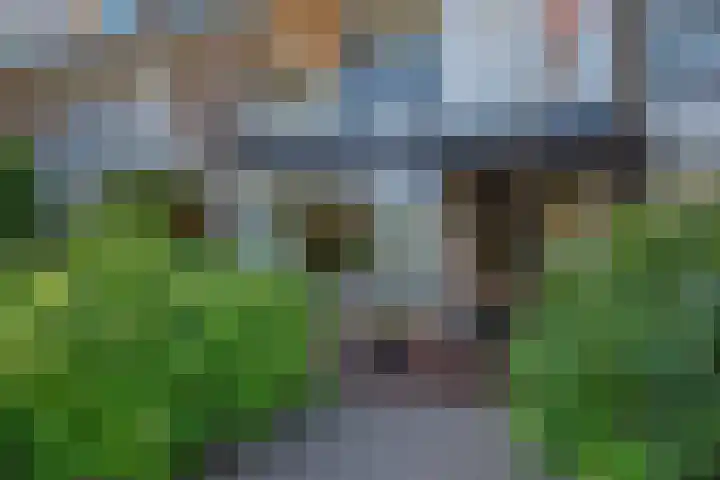 Zwaluwlaan 5 Leidschendam thumbnail 6