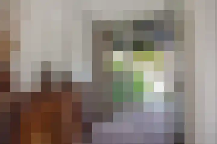 Zwaluwlaan 5 Leidschendam thumbnail 8