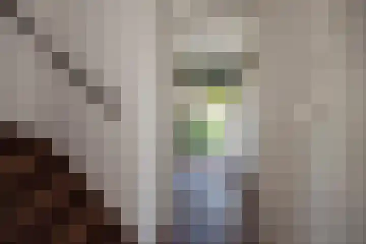 Zwaluwlaan 5 Leidschendam thumbnail 9