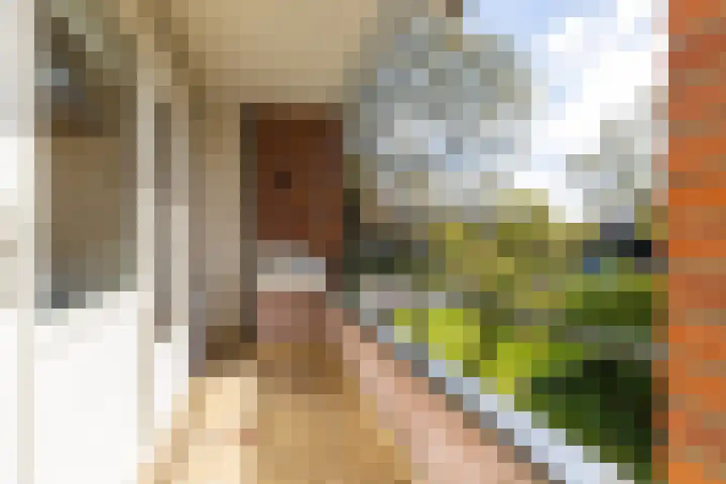 Zwaluwlaan 60 Bussum thumbnail 22
