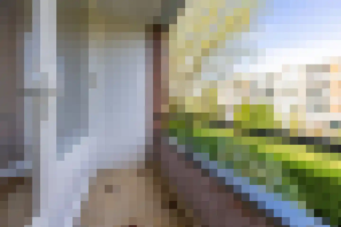 Zwaluwlaan 60 Bussum thumbnail 23