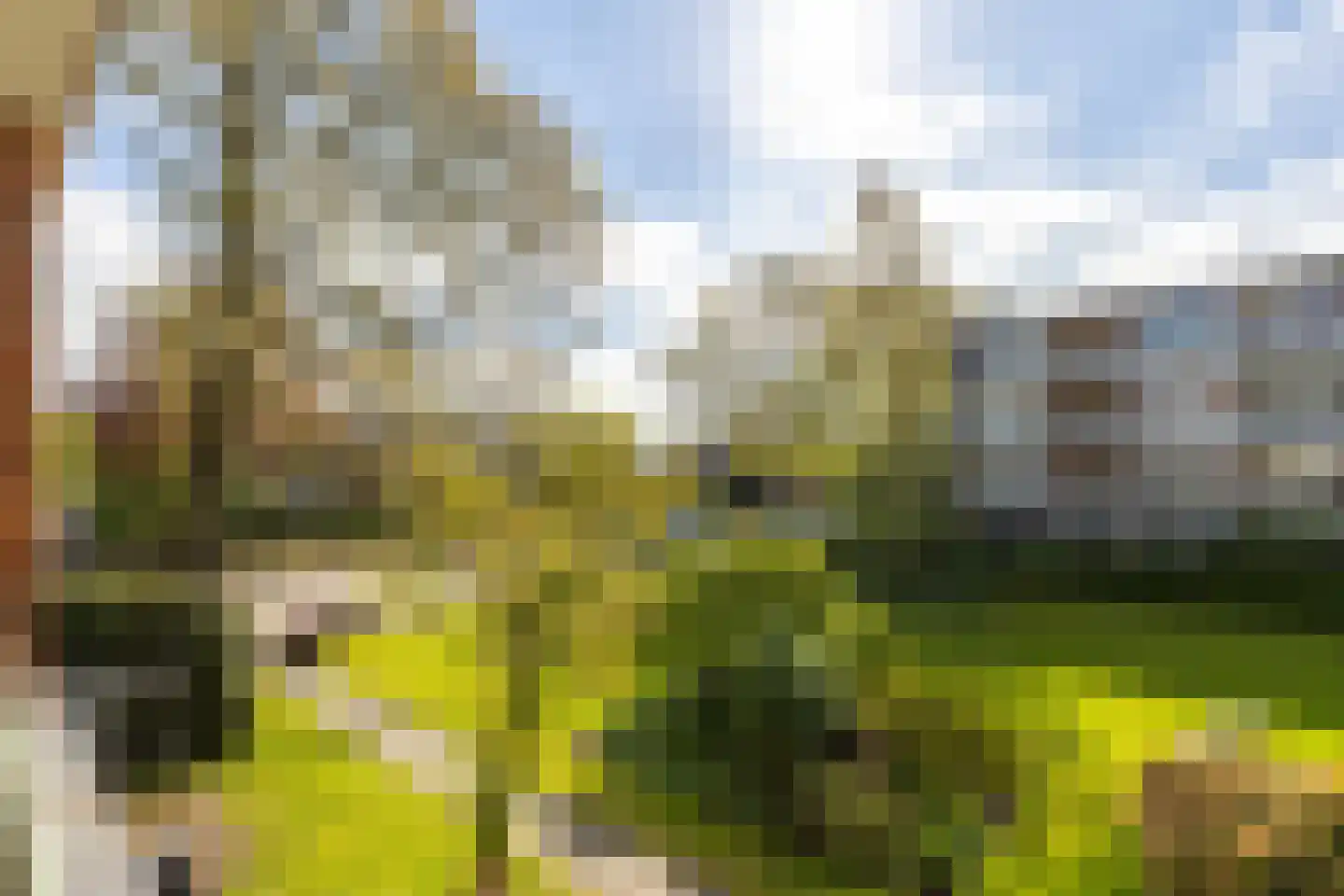 Zwaluwlaan 60 Bussum thumbnail 25